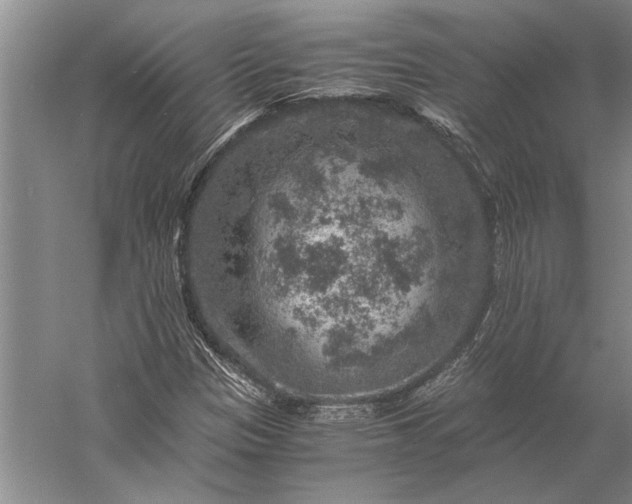 X0000056381305200509091704