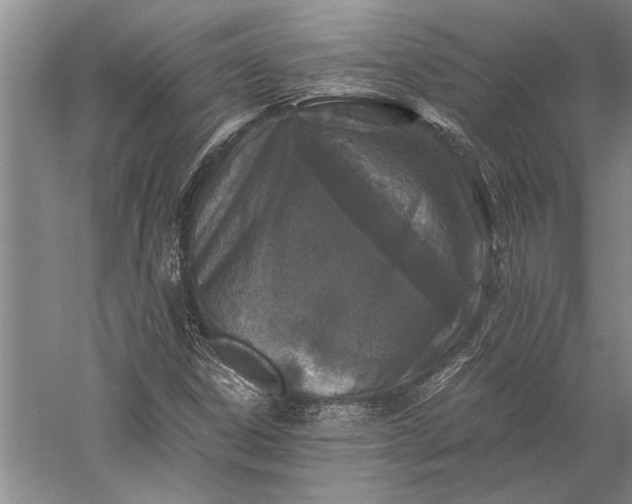 X0000056381306200509091704