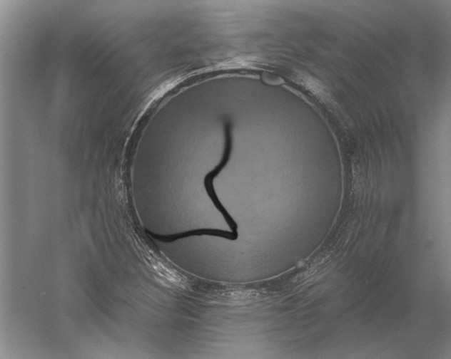 X0000056381308200509091704