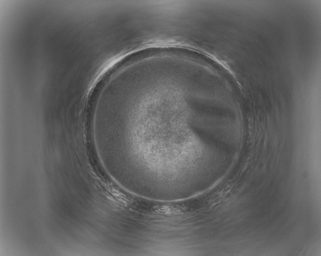 X0000056381311200509091704