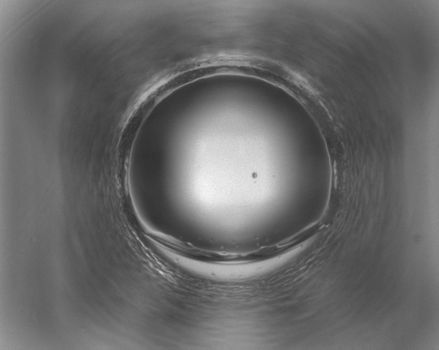 X0000056381312200509091704