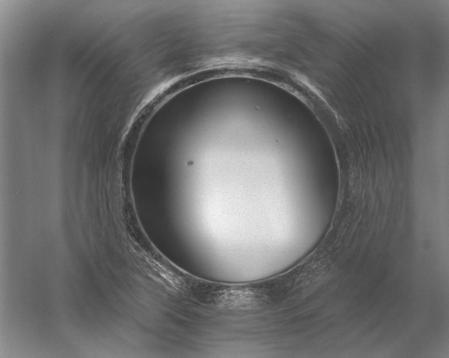 X0000056381315200509091705