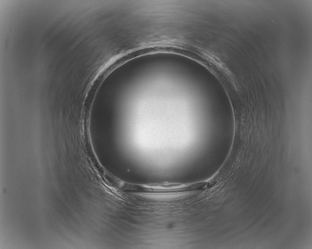 X0000056381316200509091705