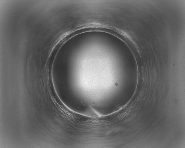 X0000056381318200509091705