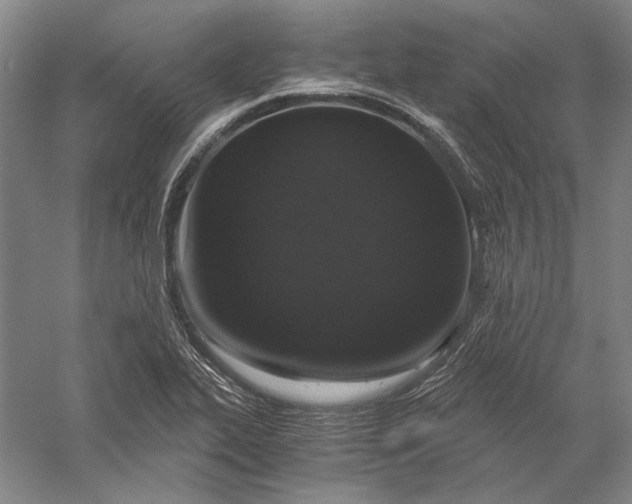 X0000056381319200509091705