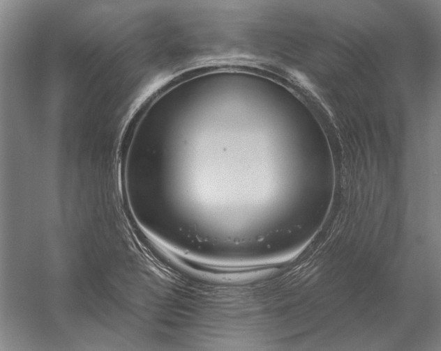 X0000056381320200509091705