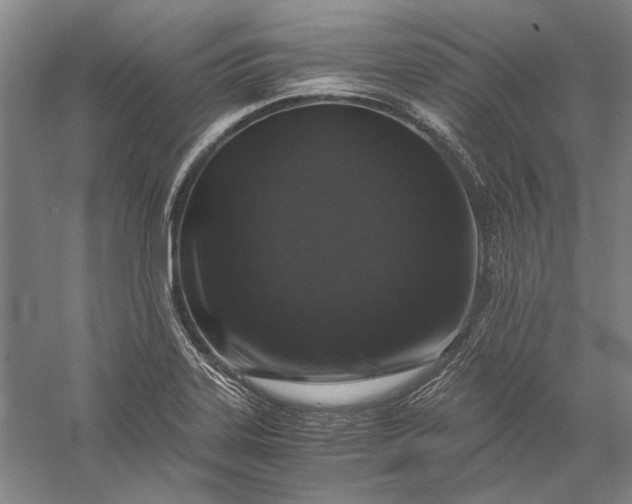 X0000056381323200509091705