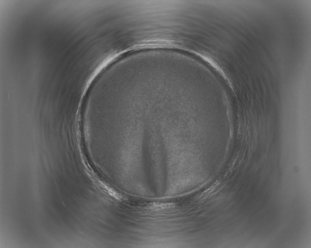 X0000056381325200509091705