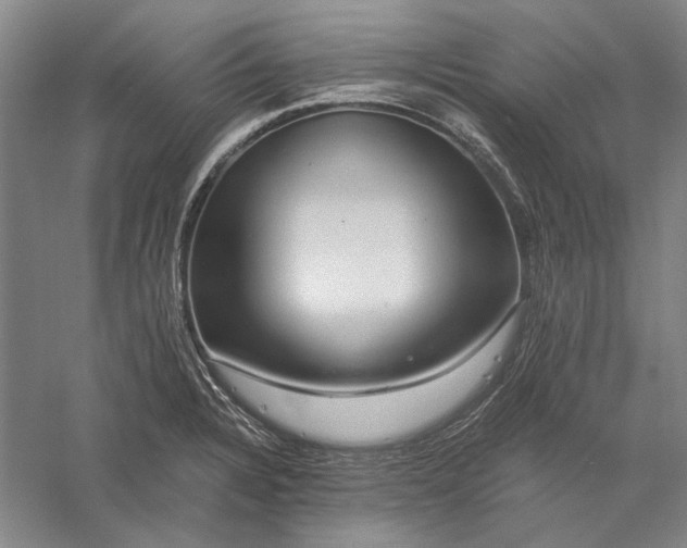 X0000056381328200509091705