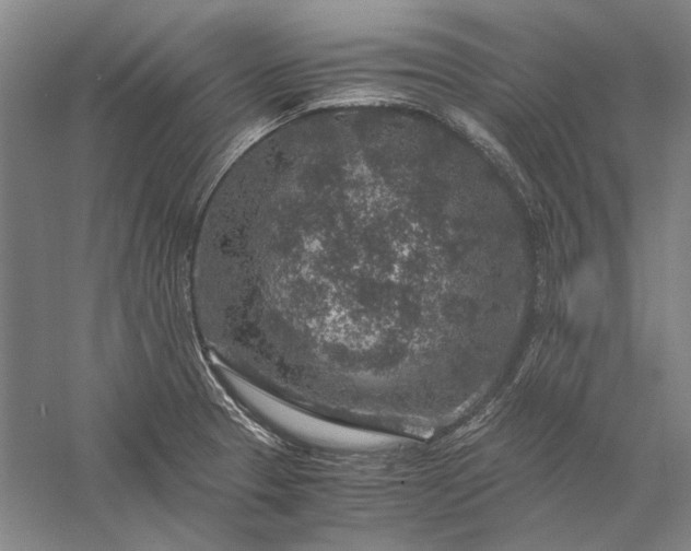 X0000056381329200509091705