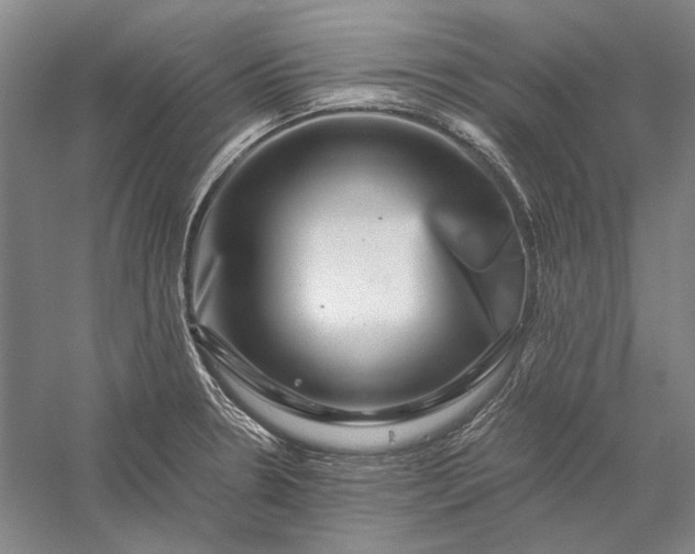 X0000056381330200509091705