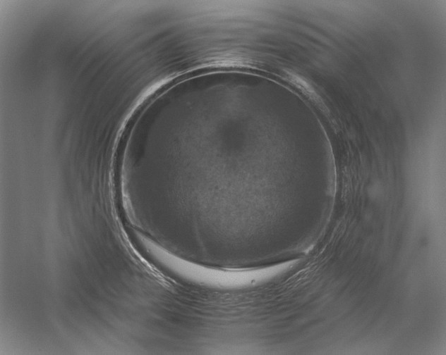 X0000056381331200509091705