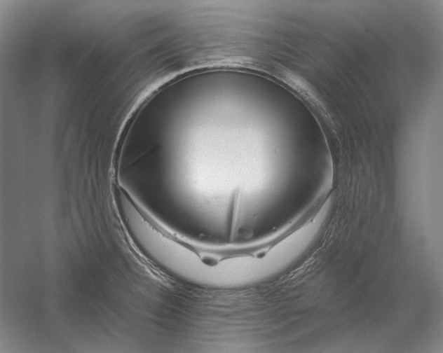 X0000056381332200509091705