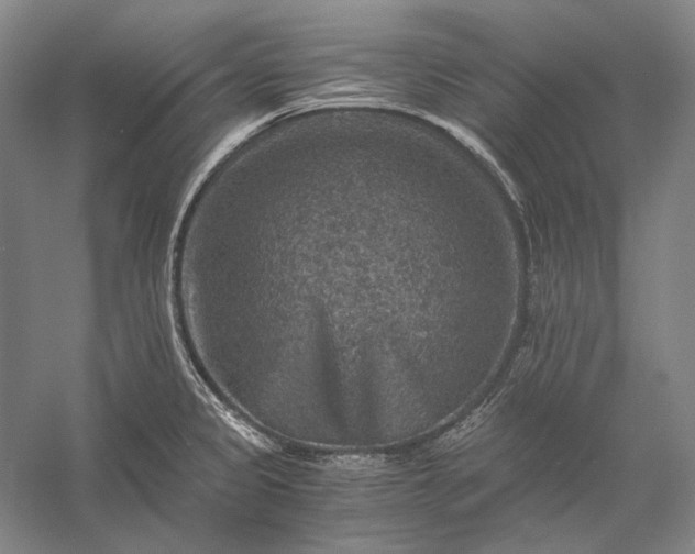 X0000056381333200509091705