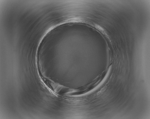 X0000056381334200509091705