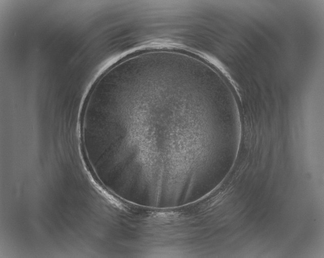 X0000056381335200509091705