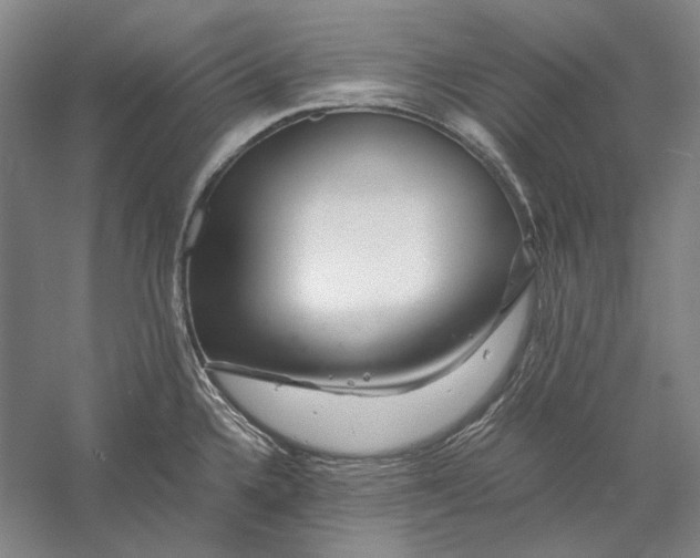 X0000056381336200509091705