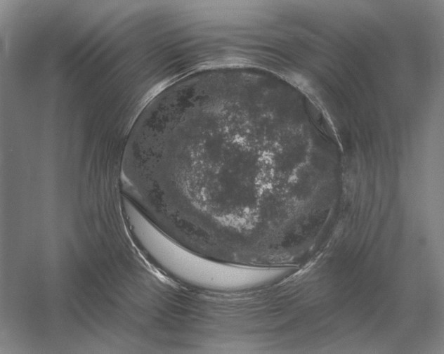 X0000056381337200509091705