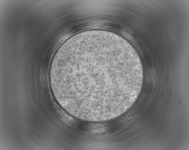 X0000056381338200509091705