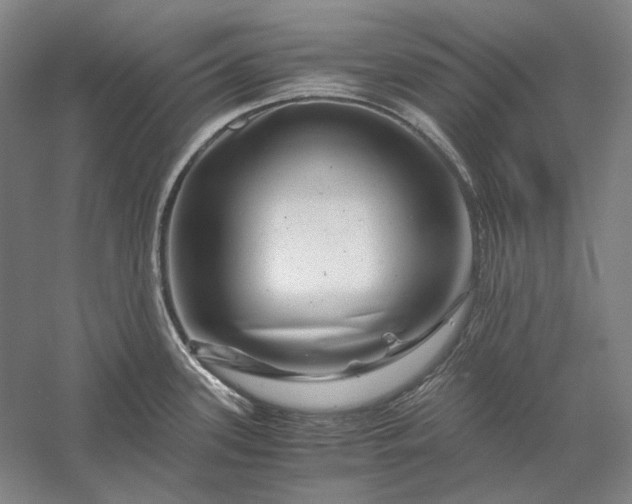 X0000056381339200509091705