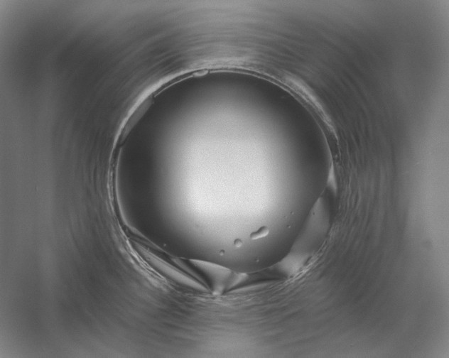 X0000056381340200509091705