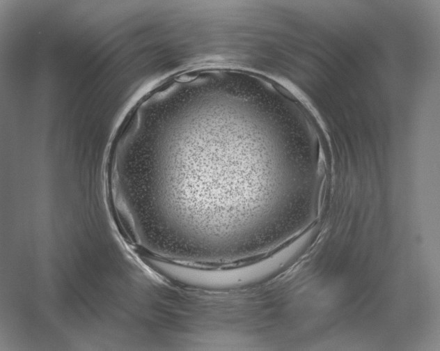 X0000056381341200509091705