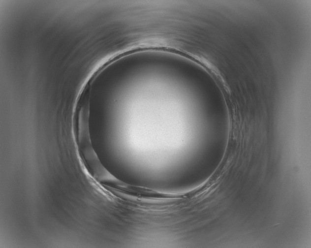 X0000056381342200509091705