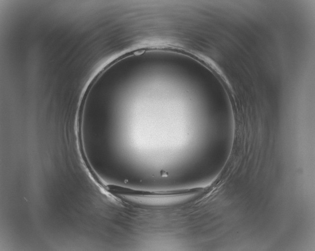 X0000056381343200509091705