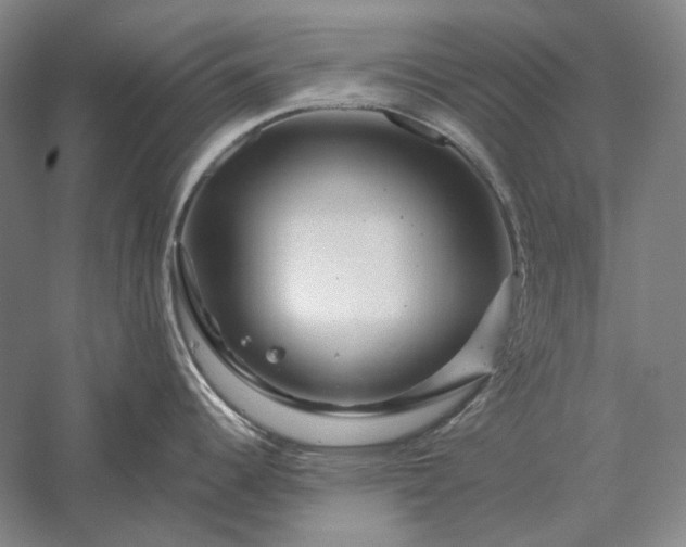 X0000056381344200509091705