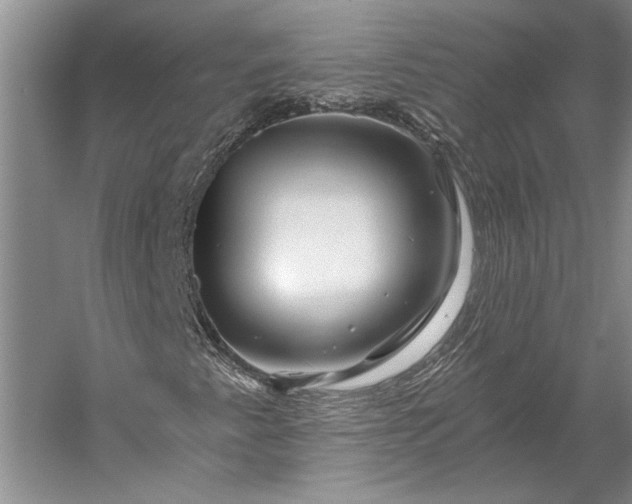 X0000056381345200509091704