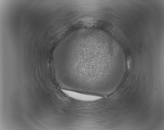 X0000056381347200509091704