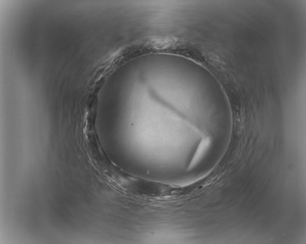 X0000056381349200509091704