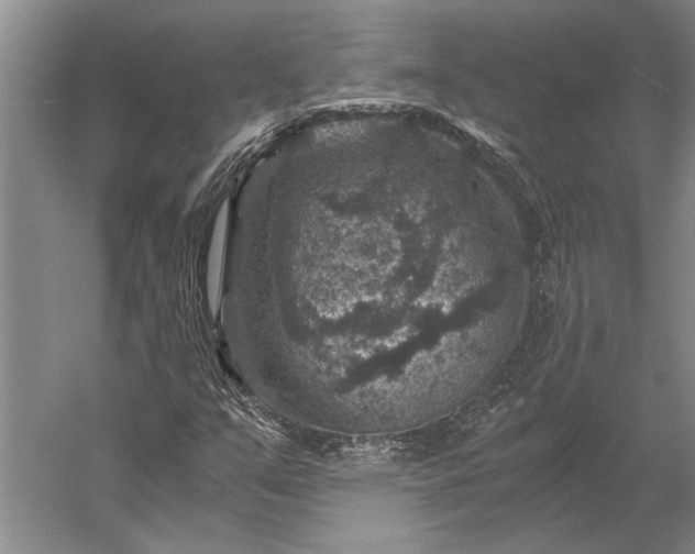 X0000056381351200509091704