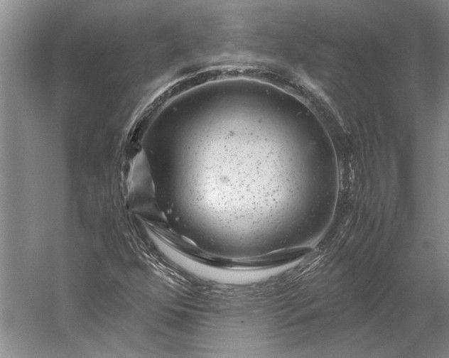 X0000056381352200509091704