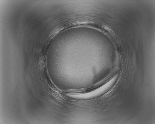 X0000056381353200509091704