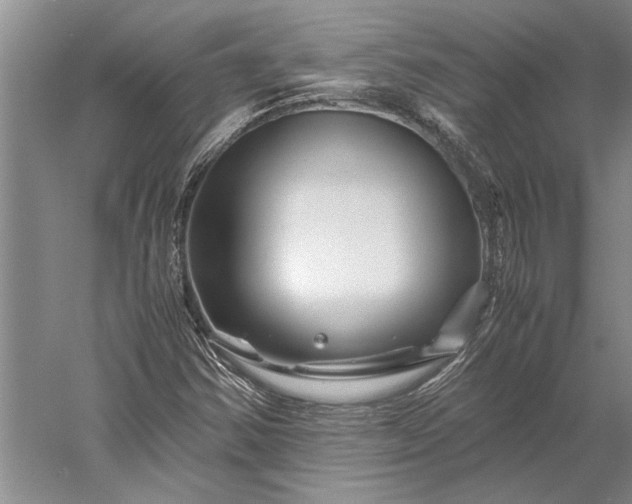 X0000056381354200509091704