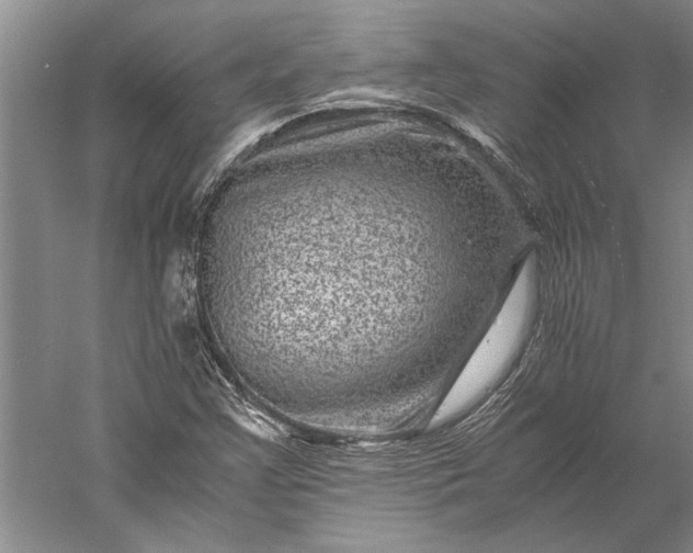 X0000056381355200509091704