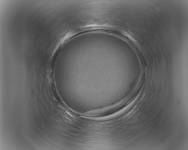 X0000056381357200509091704