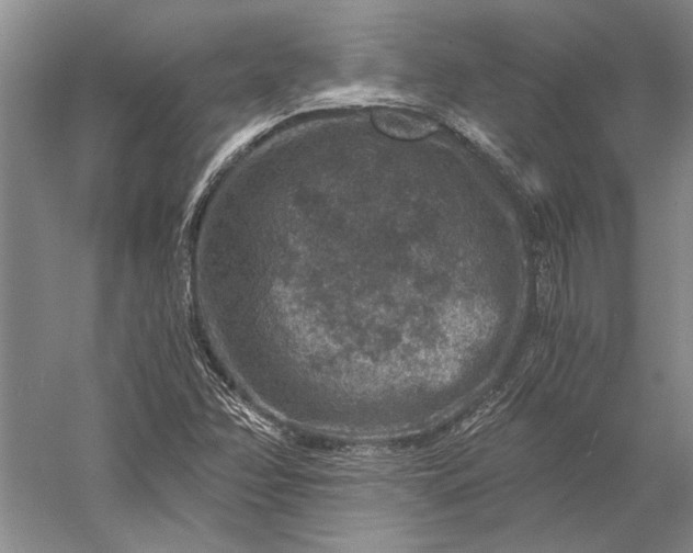 X0000056381358200509091704