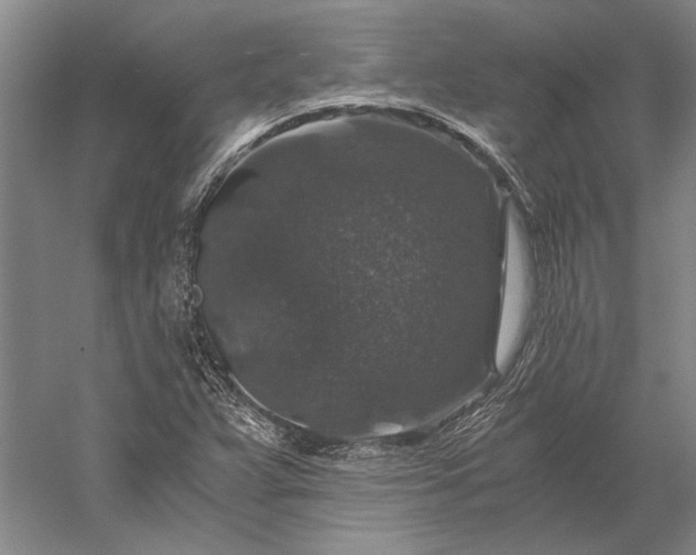 X0000056381359200509091704