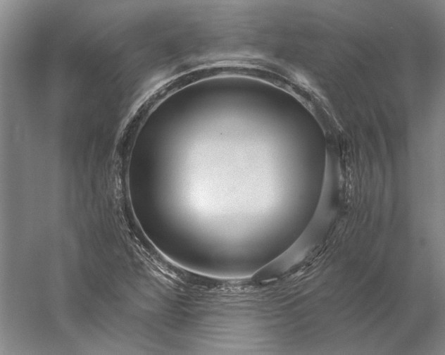 X0000056381360200509091704