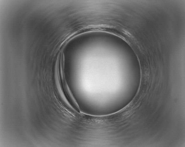 X0000056381361200509091704