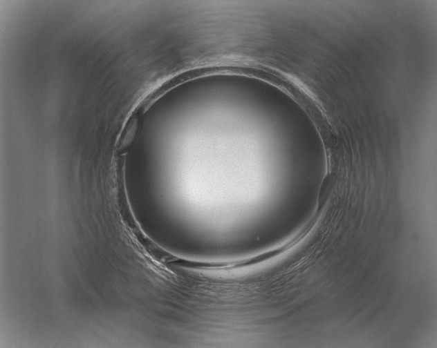 X0000056381364200509091704