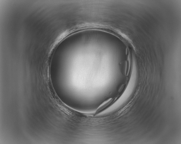 X0000056381365200509091704