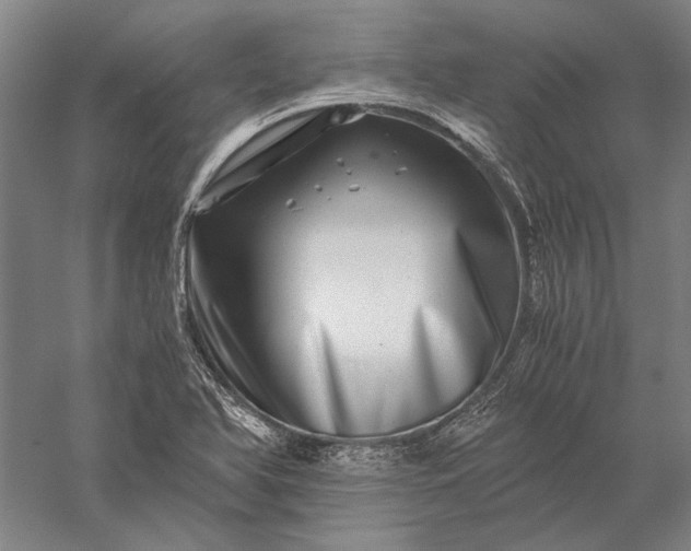 X0000056381366200509091704