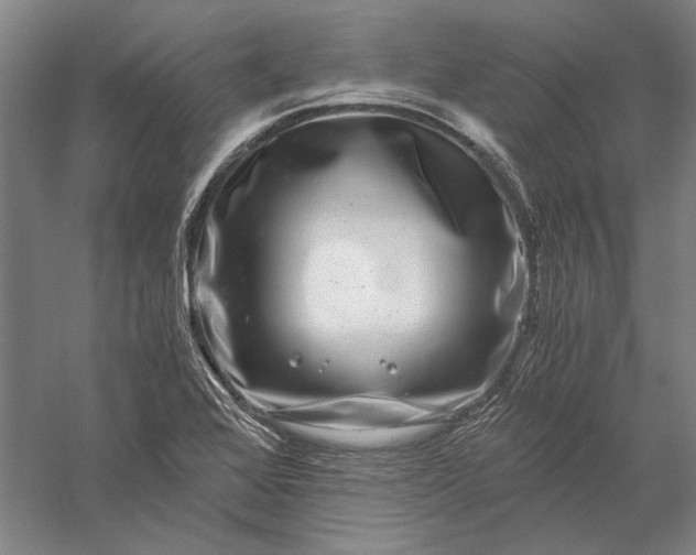 X0000056381368200509091704