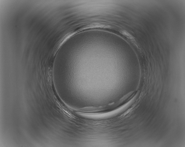 X0000056381369200509091704