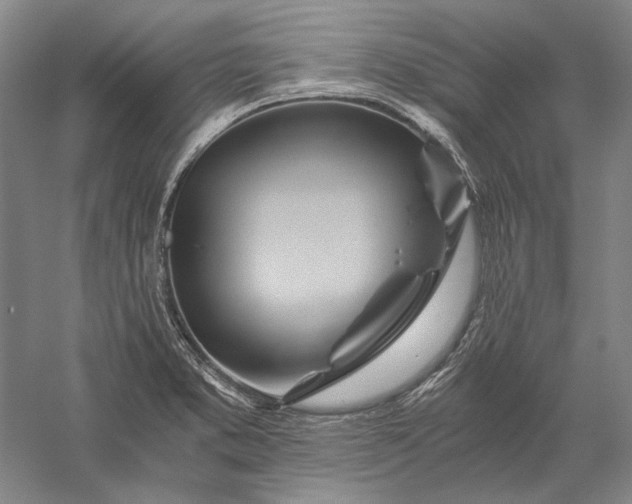 X0000056381373200509091704