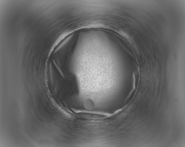 X0000056381374200509091704