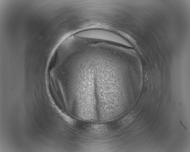 X0000056381375200509091704